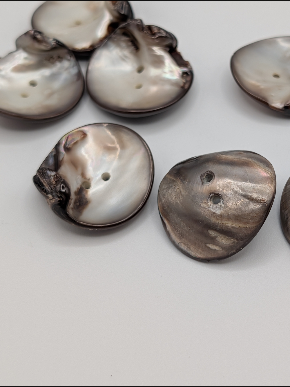 Natural Shell Buttons - Picture 5 of 6